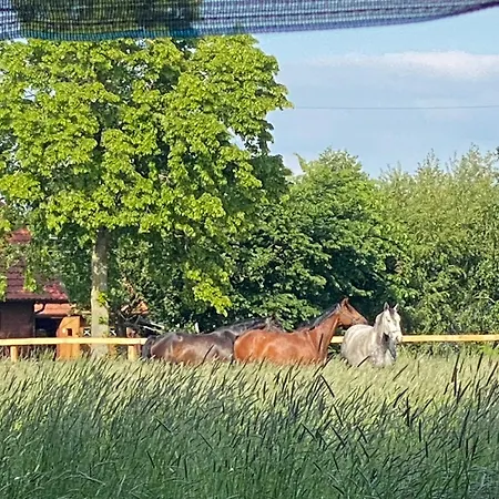 Ferien Auf Dem Bauernhof *
